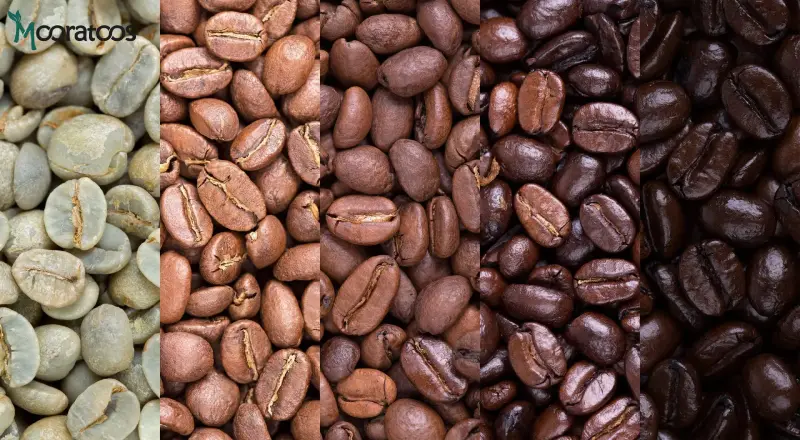درجه برشتگی (Roast Level)