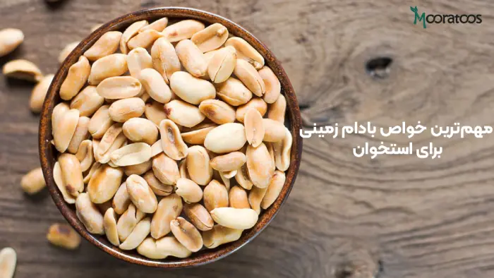 مهم‌ترین خواص بادام زمینی برای استخوان