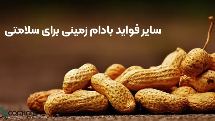 سایر فواید بادام زمینی برای سلامتی