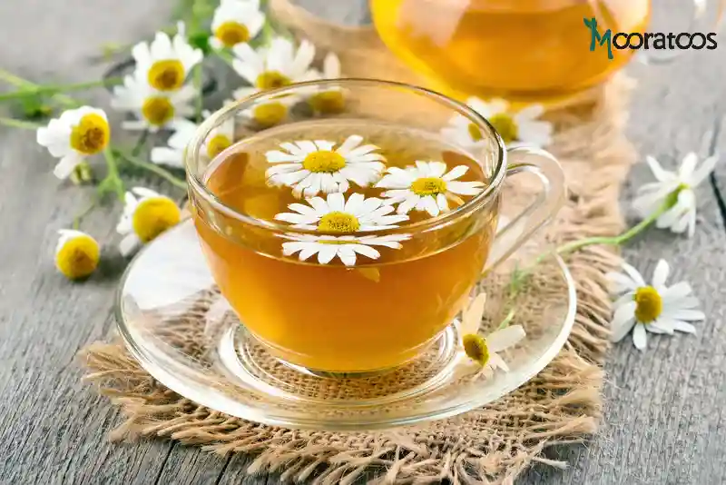چرا دمنوش گیاهی؟