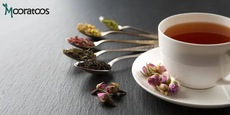 دمنوش‌های گیاهی پرطرفدار برای خرید