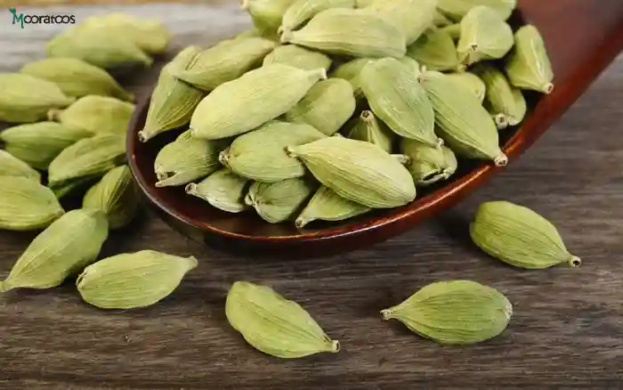 بررسی تاریخچه و معرفی هل